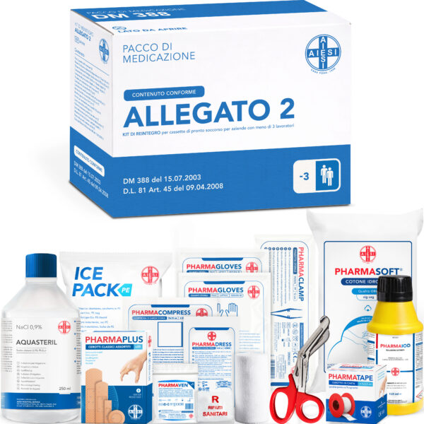 KIT DI REINTEGRO Allegato 2 – CASSETTE DI PRONTO SOCCORSO